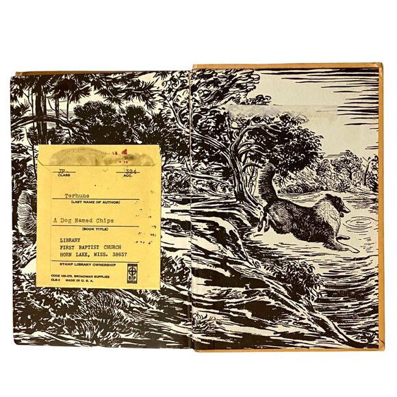 A Dog Named Chips The Life and Adventures of a Mongrel Scamp HC Book Terhune - Picture 8 of 8